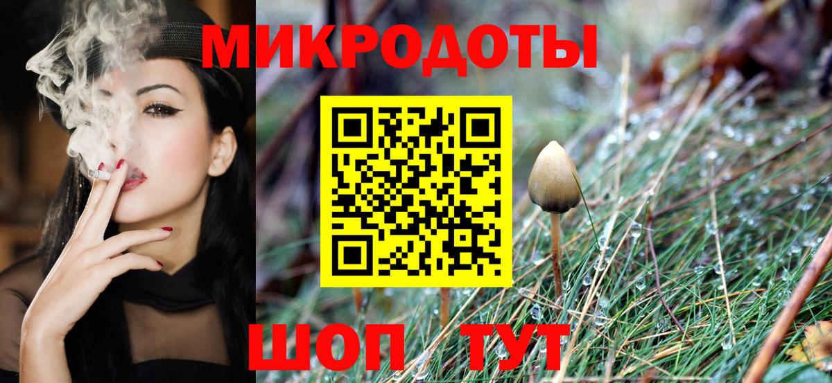 Усть-Джегута  где можно купить наркотик  Вход с VPN  Псилоцибиновые грибы прущие грибы 