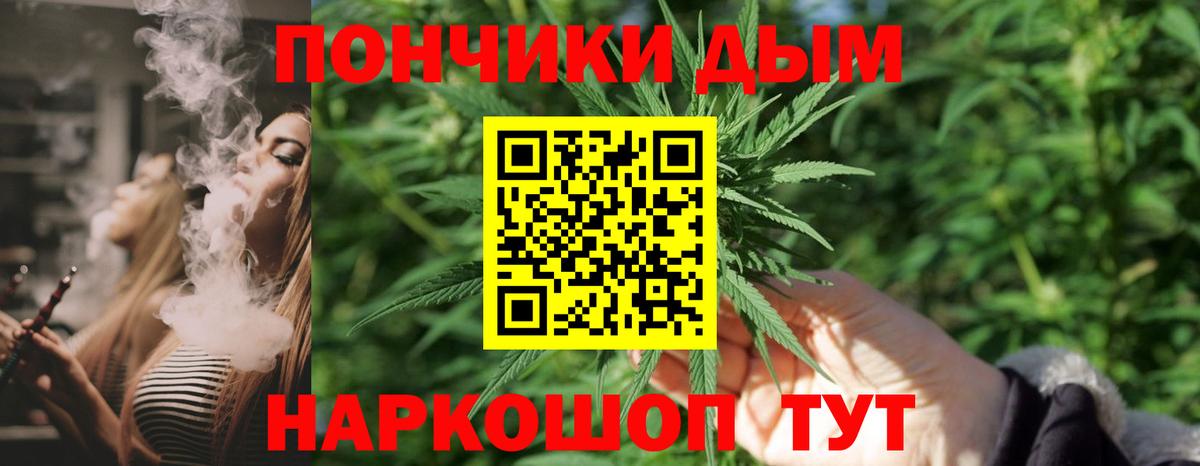 Конопля индика Усть-Джегута